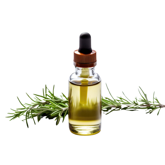 Buy Rosemary Oil Online